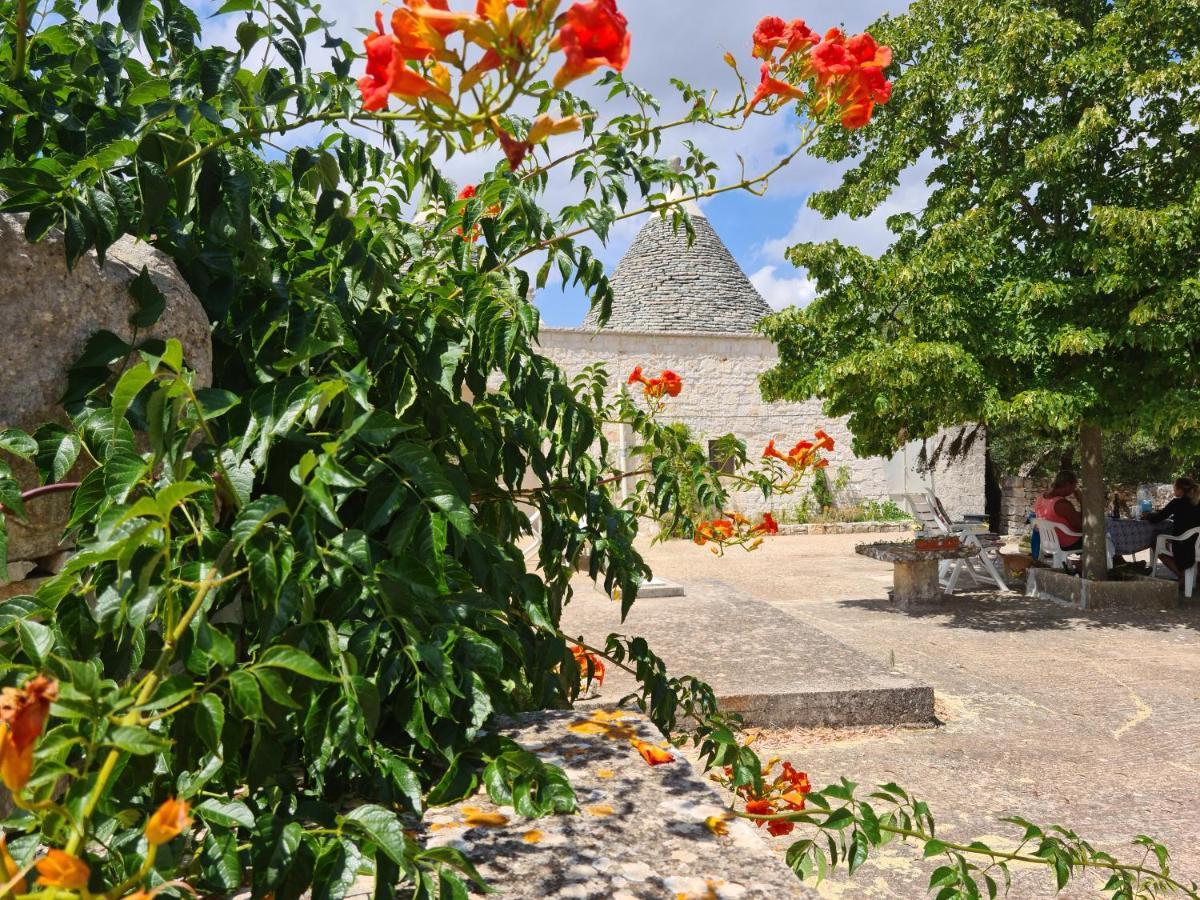 Trulli L'Utopia Di Anny Trulli Anny'S Utopia Locorotondo Exterior foto